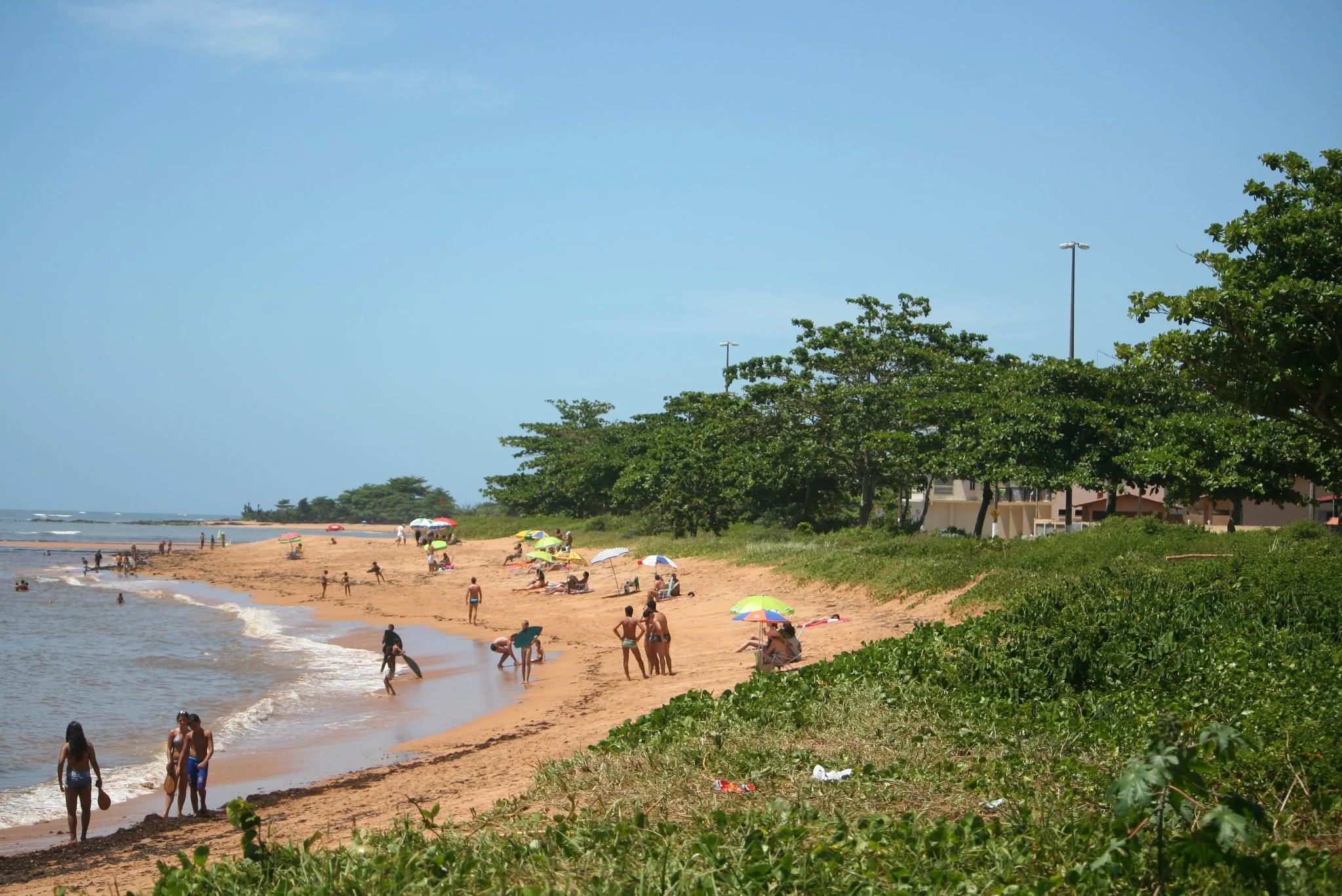 Foto do album Aracruz
